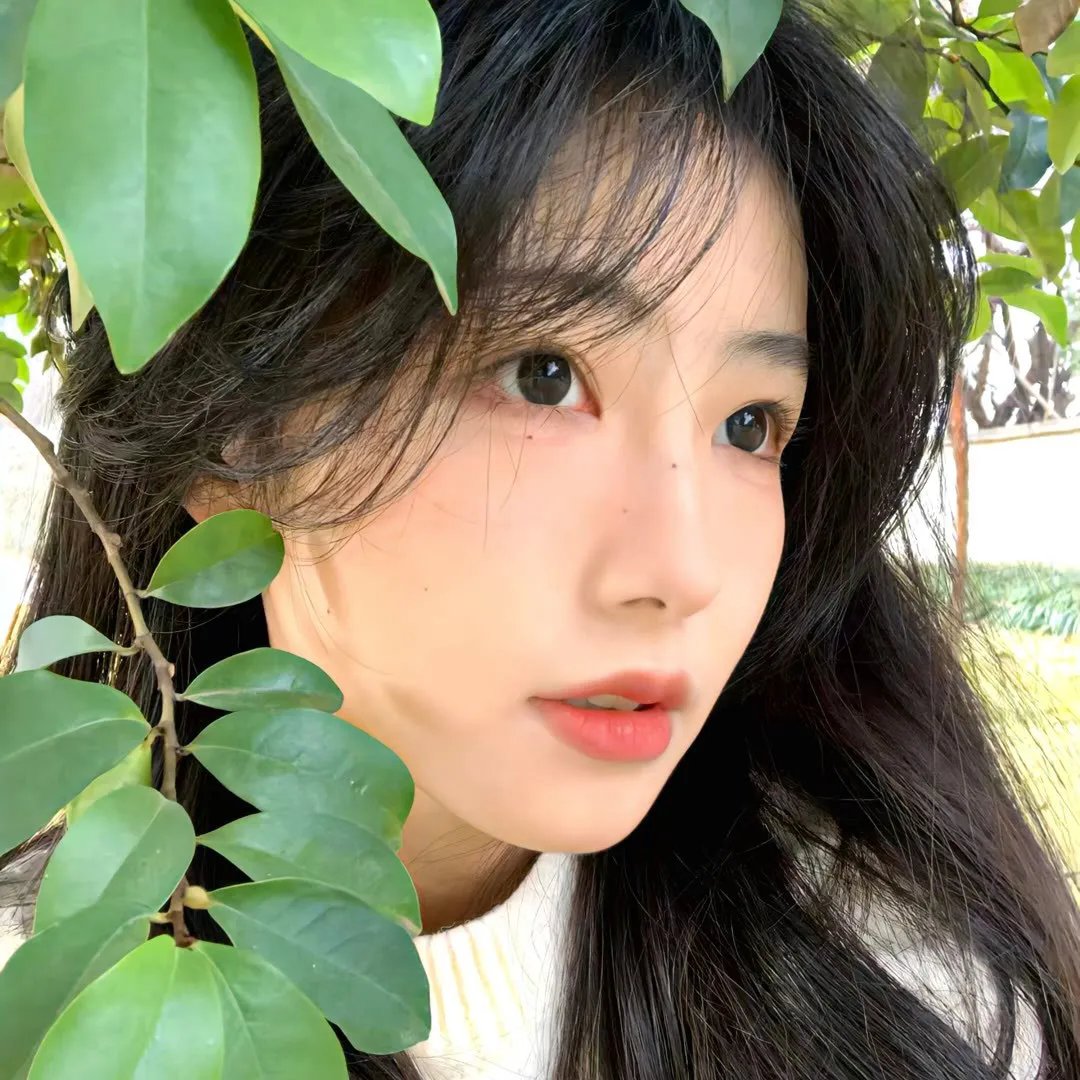 露水红颜